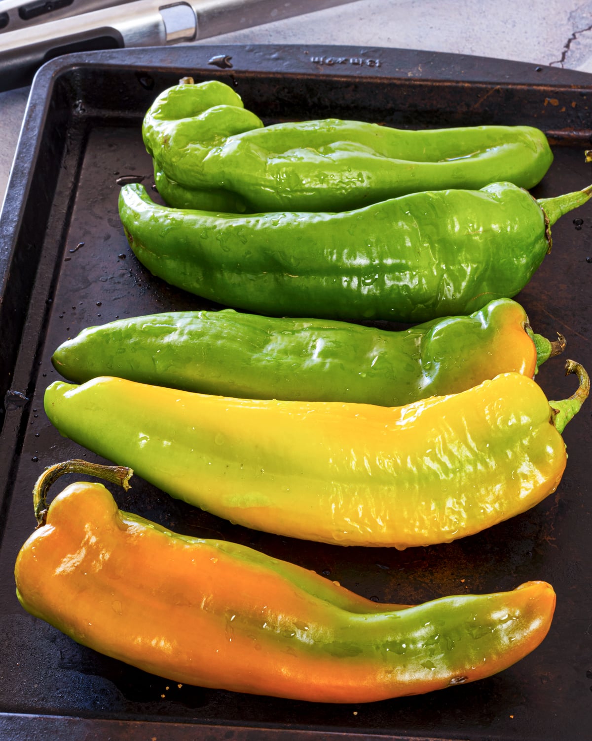 fresh Hatch chiles on a baking sheet before roasting, color progression from bright green to orange