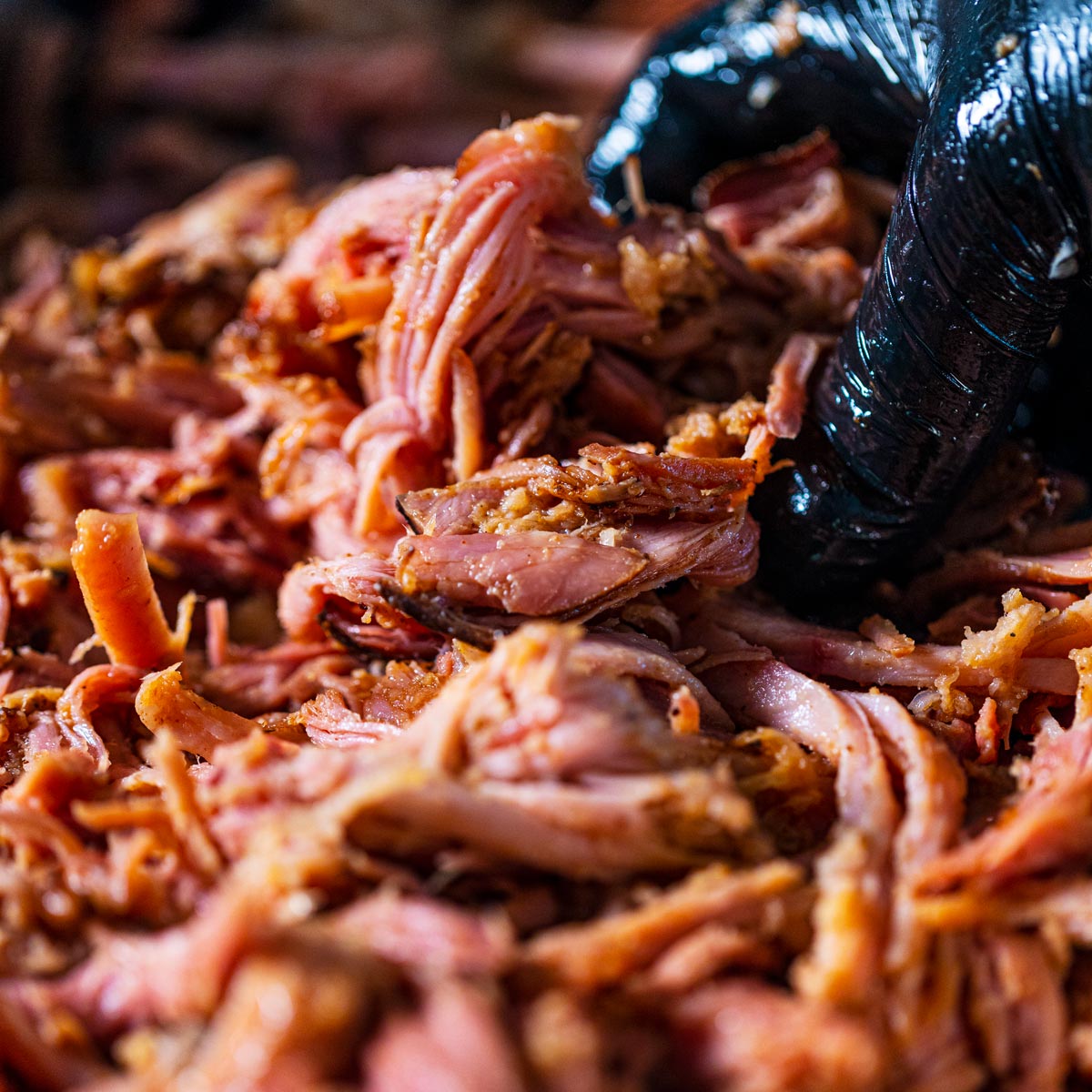 Pork recipes