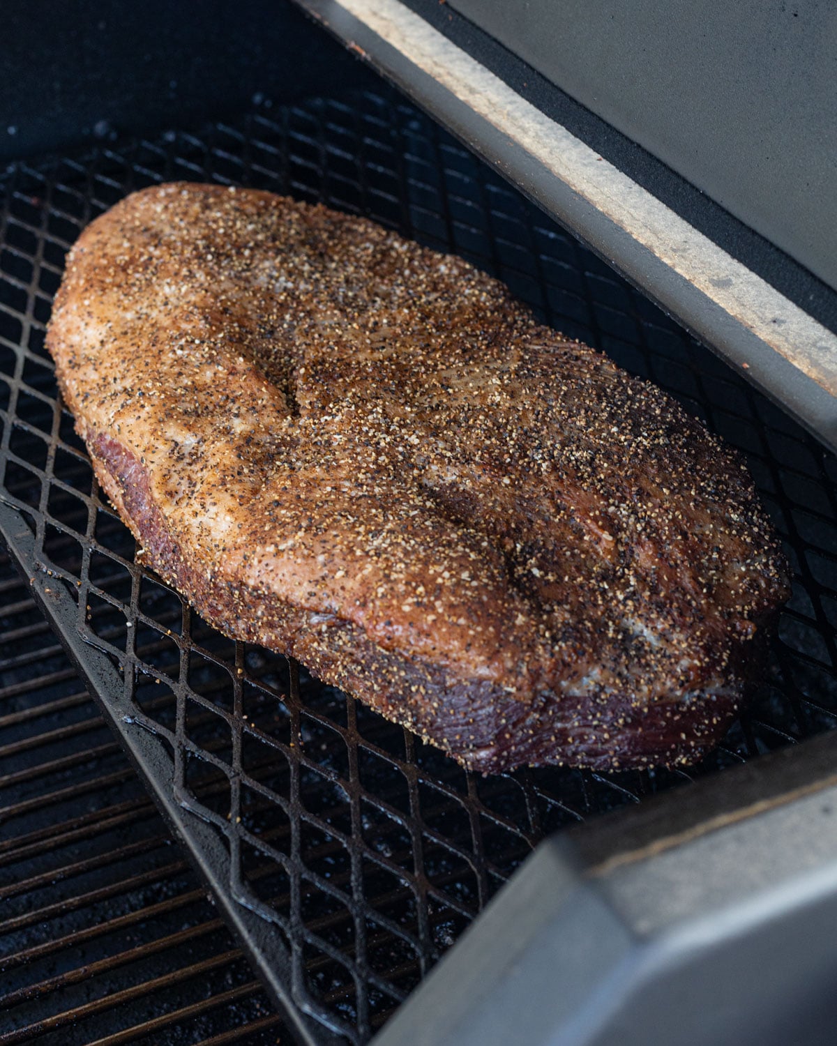 Seasoned whole packer brisket fat side up on a pellet grill grate at the start of the cook