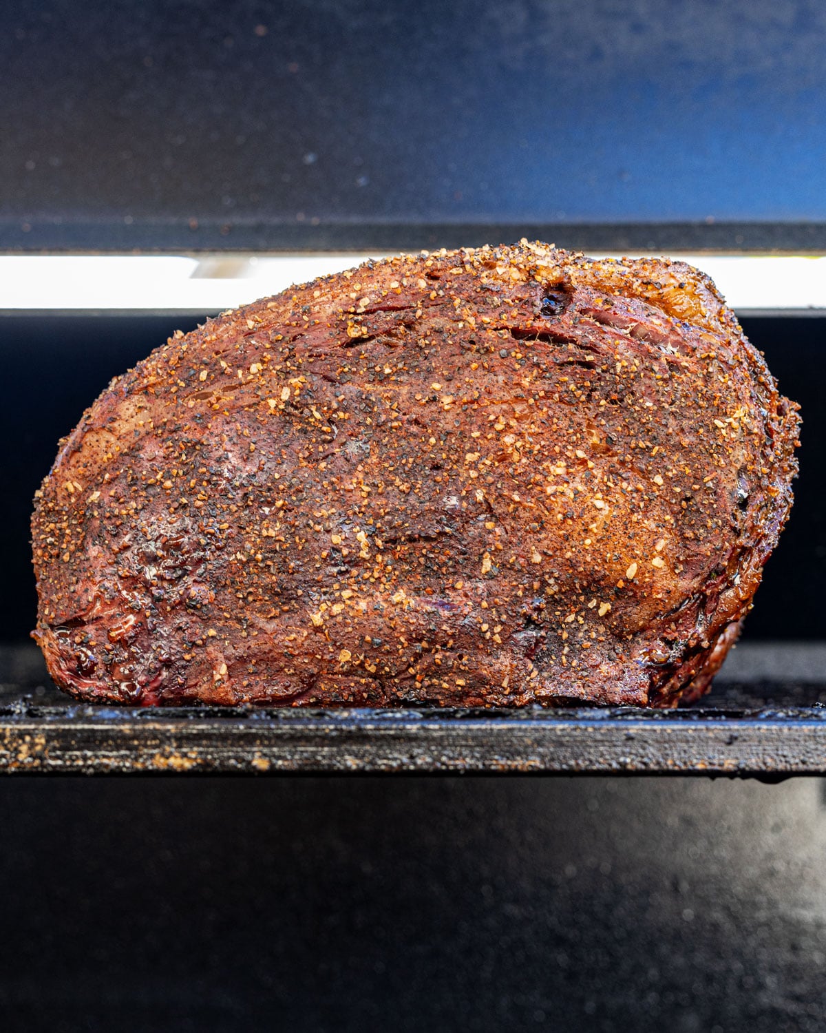 prime rib roast smoking on the grill, crust beginning to darken