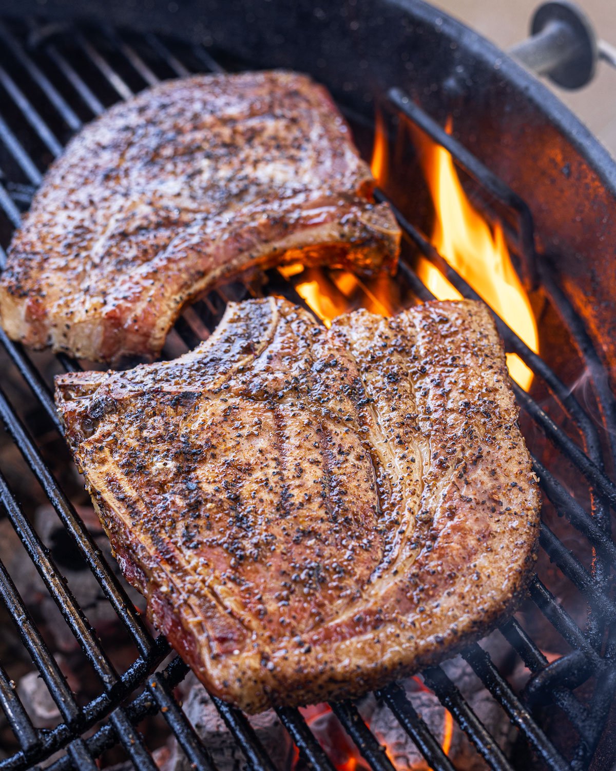 Two smoked bone-in pork chops getting seared on the grill.