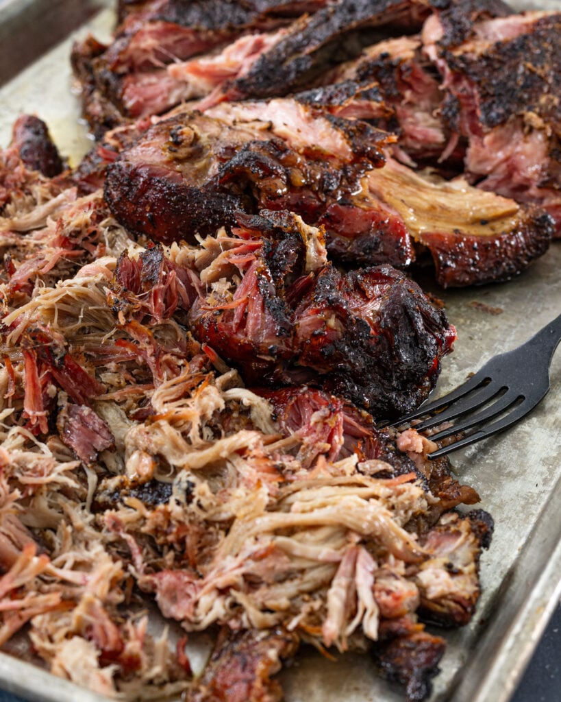 Close up of smoked butterflied pork butt being shredded with a fork showing dark bark crust