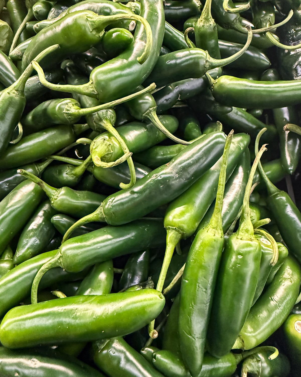 fresh serrano peppers in bulk at a market, bright green with glossy skin